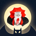 Déguisement d'Halloween pour animal de compagnie Dracula
