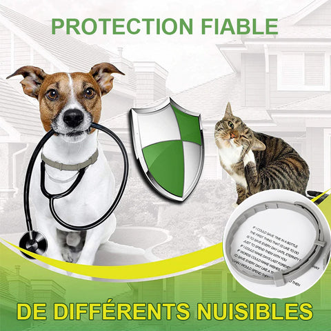 collier anti-insectes pour animaux de compagnie