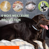 collier anti-insectes pour animaux de compagnie
