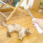 Bâton de Taquin Laser Télescopique pour Animaux de Compagnie