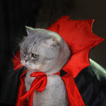 Déguisement d'Halloween pour animal de compagnie Dracula