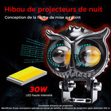 Projecteurs Modifiés Lampes Électriques Hibou
