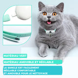 Jouets de Chat Automatiques Laser Portables