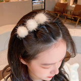 Clip de Bec de Canard en Boule de Poils