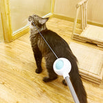 Bâton de Taquin Laser Télescopique pour Animaux de Compagnie