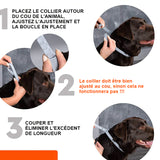 collier anti-insectes pour animaux de compagnie