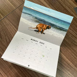 Calendrier des chiens qui font caca