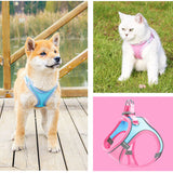 Harnais de Poitrine pour Animaux de Compagnie
