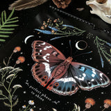 Calendrier lunaire de la forêt sombre 2022/2023