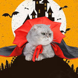 Déguisement d'Halloween pour animal de compagnie Dracula