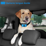 Collier anti-aboiement