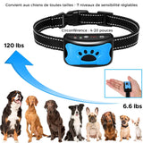 Collier anti-aboiement