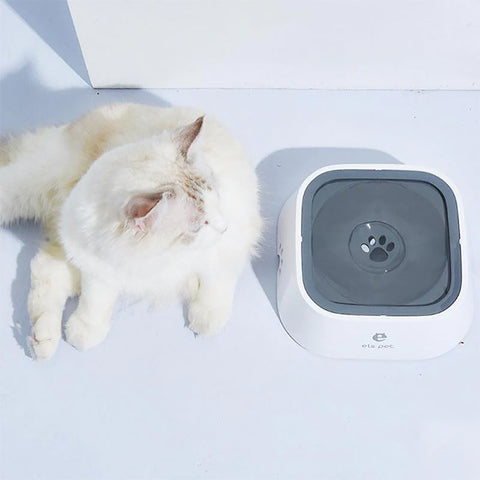 Bol Zéro Splash pour animaux de compagnie