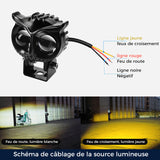 Projecteurs Modifiés Lampes Électriques Hibou