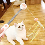 Bâton de Taquin Laser Télescopique pour Animaux de Compagnie