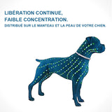 collier anti-insectes pour animaux de compagnie