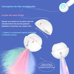 Bâton de Taquin Laser Télescopique pour Animaux de Compagnie