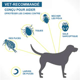 collier anti-insectes pour animaux de compagnie