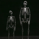 Pendentif squelette en argent pour tout le corps