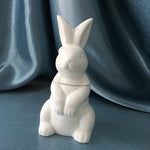 Assiette en céramique pour lapin