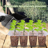 Plateaux de démarrage de graines avec lumière de croissance