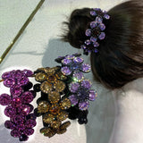 Pince à cheveux strass pour femme