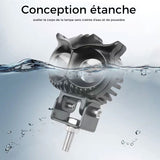 Projecteurs Modifiés Lampes Électriques Hibou