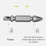 Extracteur de vis (4 pièces/5 pièces/6 pièces)