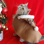 Cape de Noël pour animaux de compagnie