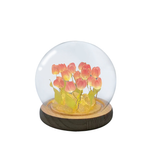 Veilleuse LED Tulipe