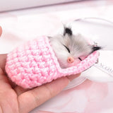 Porte-clés Chaton endormi mignon