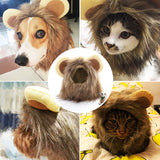 Simulation d'animal de compagnie Crinière de lion