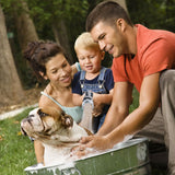 Pulvérisateur électrique haute pression