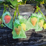 Sac de Protection pour Fruits (100 PCS)