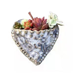 Planter Une Jardinière de Poche en Forme de Cœur Succulent