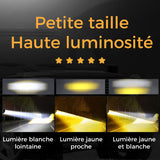 Projecteurs Modifiés Lampes Électriques Hibou
