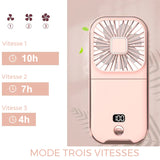 Mini ventilateur portable