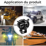 Projecteurs Modifiés Lampes Électriques Hibou