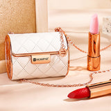 Rouges à Lèvres en Velours avec Sac en Chaîne