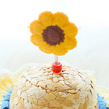 Chapeau de paille pour animaux de compagnie