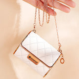 Rouges à Lèvres en Velours avec Sac en Chaîne