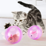 Jouet balle de course pour hamster