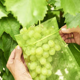 Sac de Protection pour Fruits (100 PCS)
