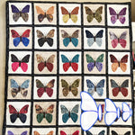 Règle de Couture Papillon
