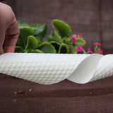 Semelle intérieure jetable absorbant la transpiration