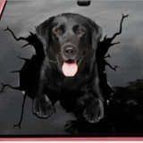 Autocollant chien créatif pour fenêtre de voiture