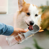 Nourriture et Bouteille d'Eau pour Chiens