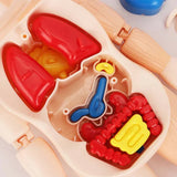 Jouets d'éveil pour enfants