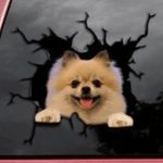 Autocollant chien créatif pour fenêtre de voiture