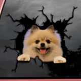 Autocollant chien créatif pour fenêtre de voiture